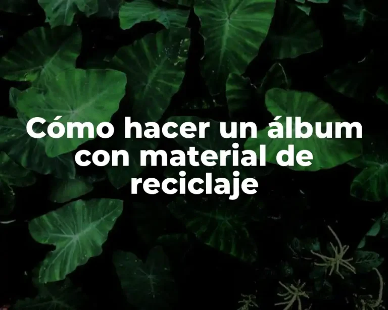 Cómo hacer un álbum con material de reciclaje