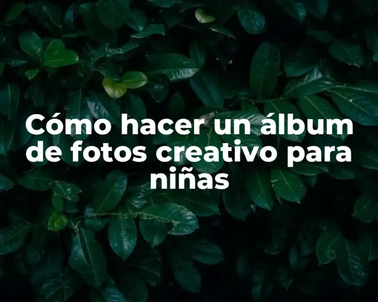 Cómo hacer un álbum de fotos creativo para niñas