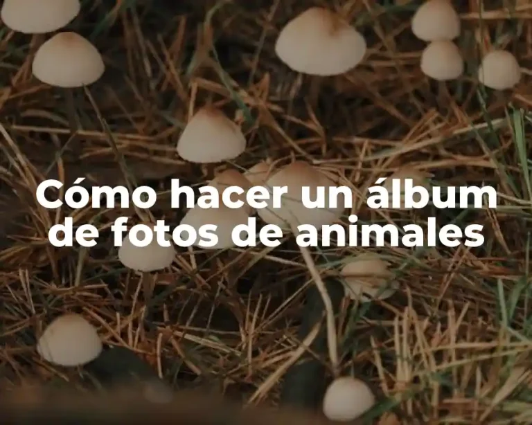 Cómo hacer un álbum de fotos de animales