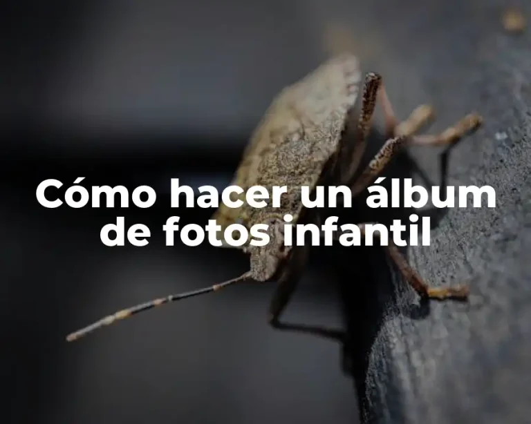 Cómo hacer un álbum de fotos infantil