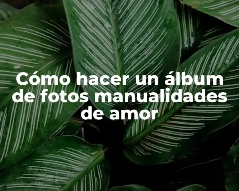 Cómo hacer un álbum de fotos manualidades de amor
