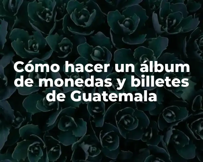 Cómo hacer un álbum de monedas y billetes de Guatemala
