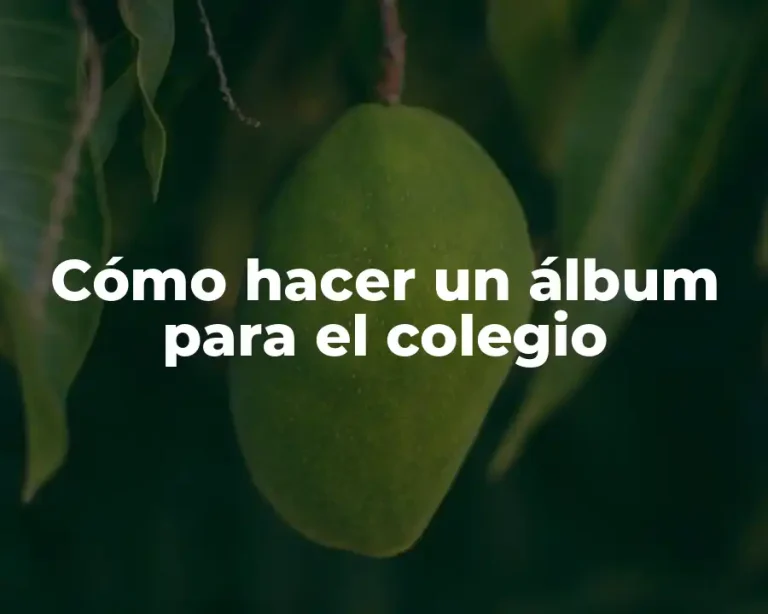 Cómo hacer un álbum para el colegio