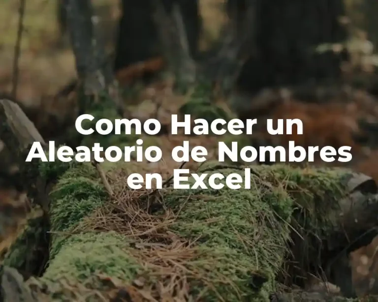 Como Hacer un Aleatorio de Nombres en Excel