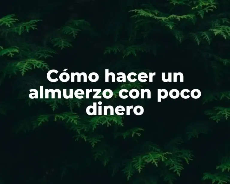 Cómo hacer un almuerzo con poco dinero