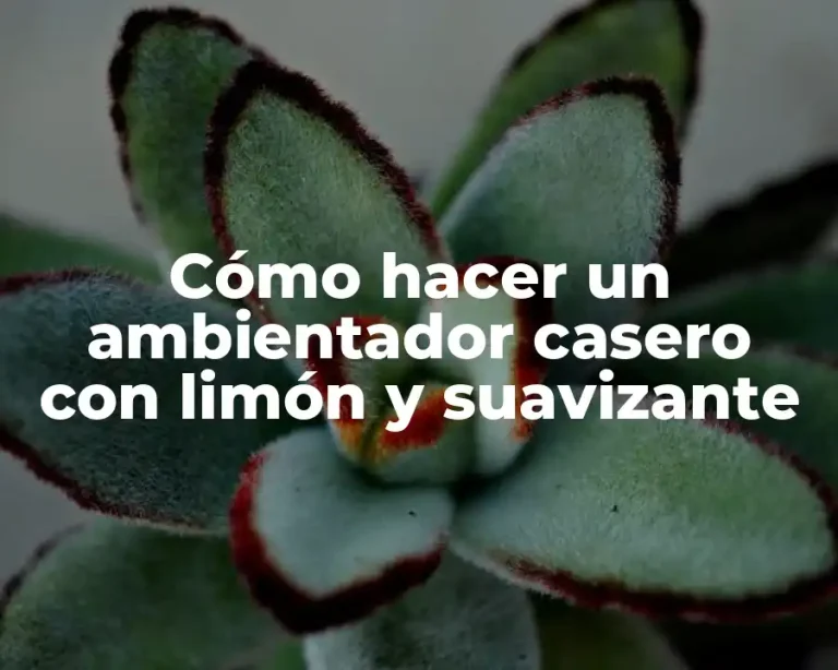 Cómo hacer un ambientador casero con limón y suavizante