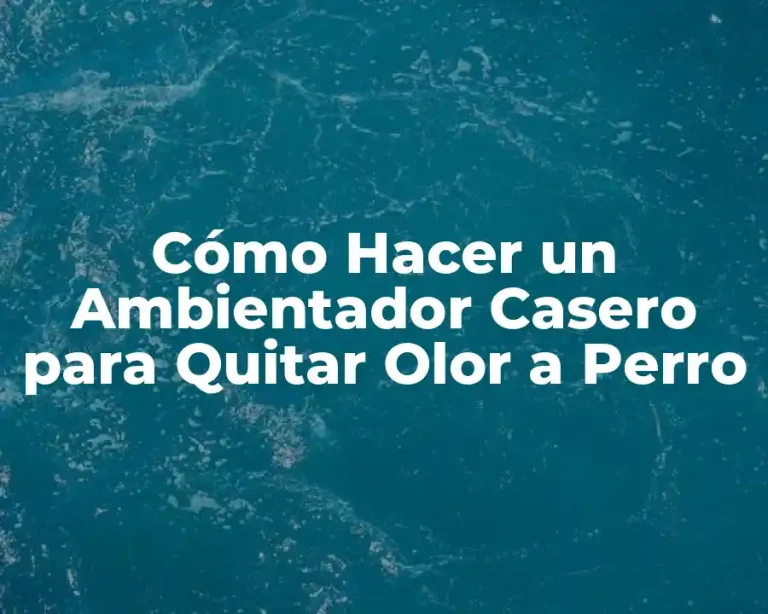 Cómo Hacer un Ambientador Casero para Quitar Olor a Perro