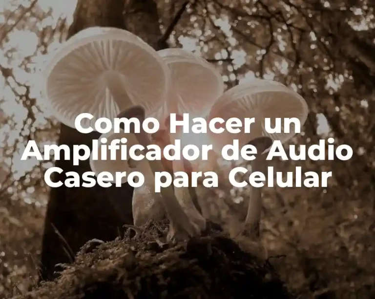 Como Hacer un Amplificador de Audio Casero para Celular