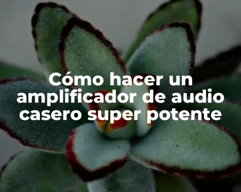Cómo hacer un amplificador de audio casero super potente