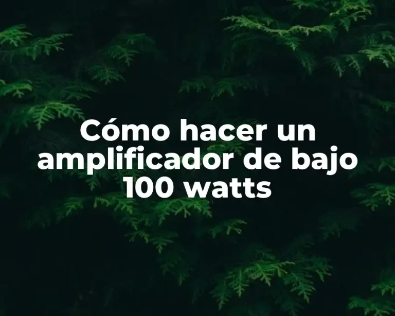 Cómo hacer un amplificador de bajo 100 watts