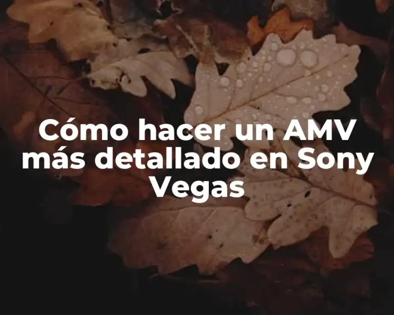 Cómo hacer un AMV más detallado en Sony Vegas