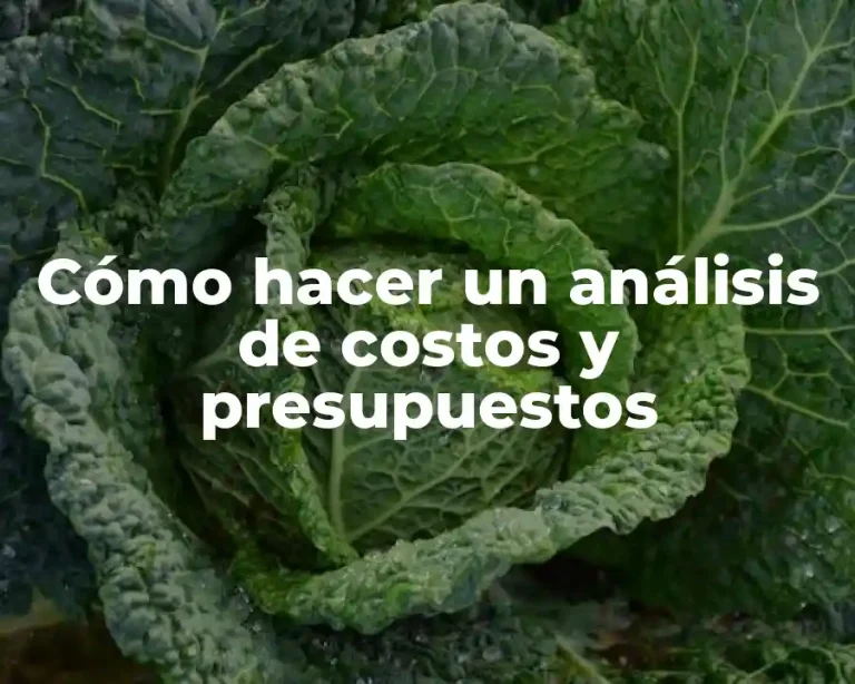 Cómo hacer un análisis de costos y presupuestos