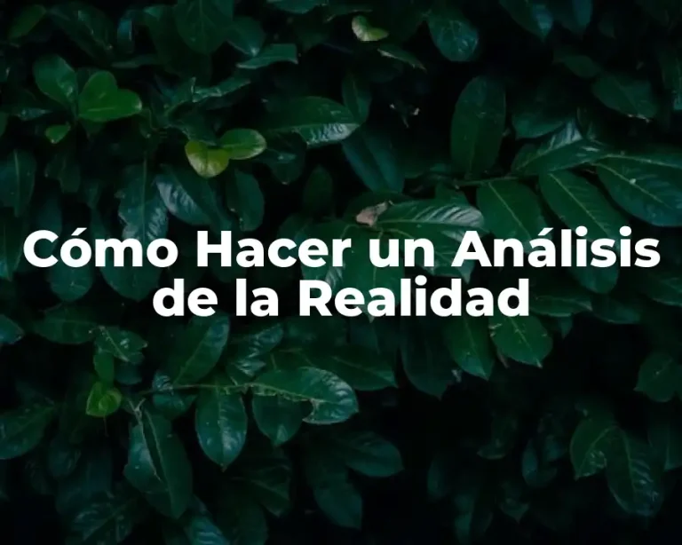 Cómo Hacer un Análisis de la Realidad