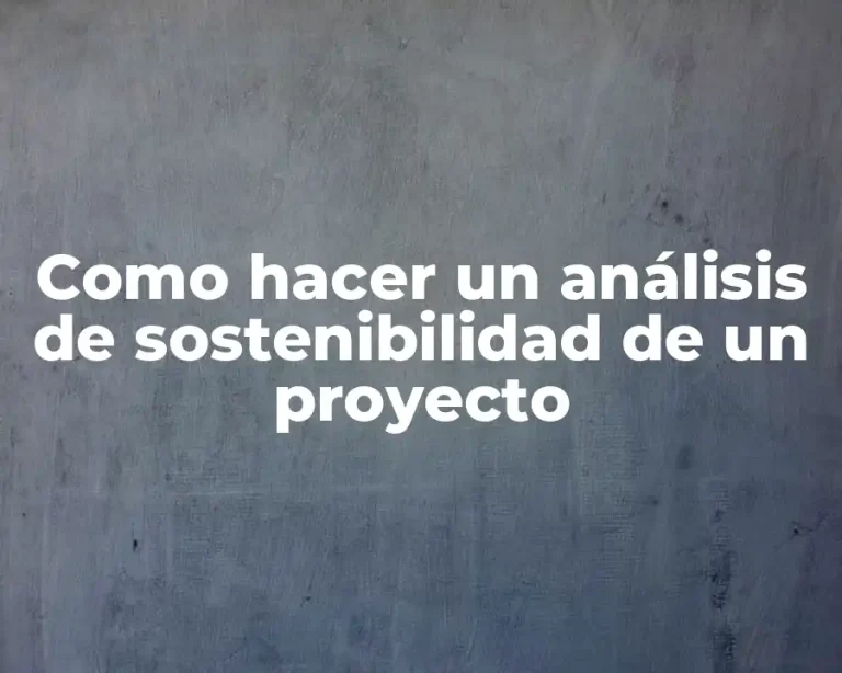 Como hacer un análisis de sostenibilidad de un proyecto