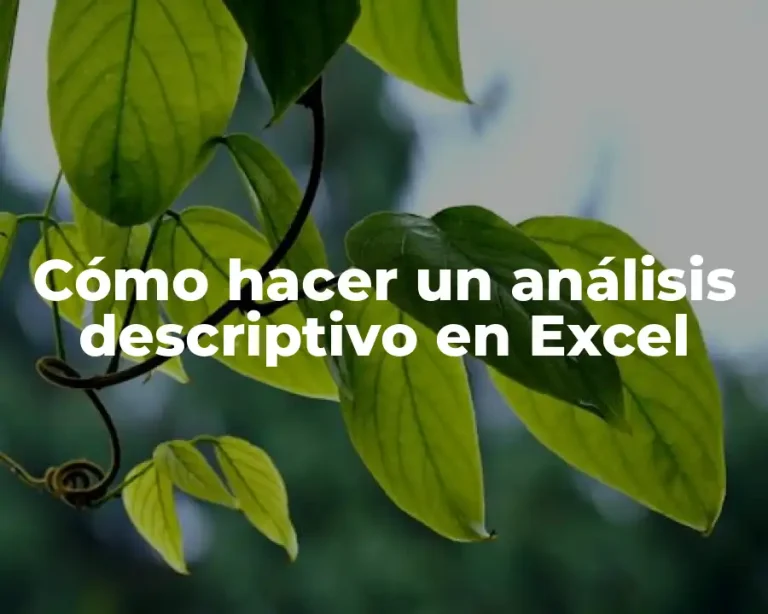 Cómo hacer un análisis descriptivo en Excel