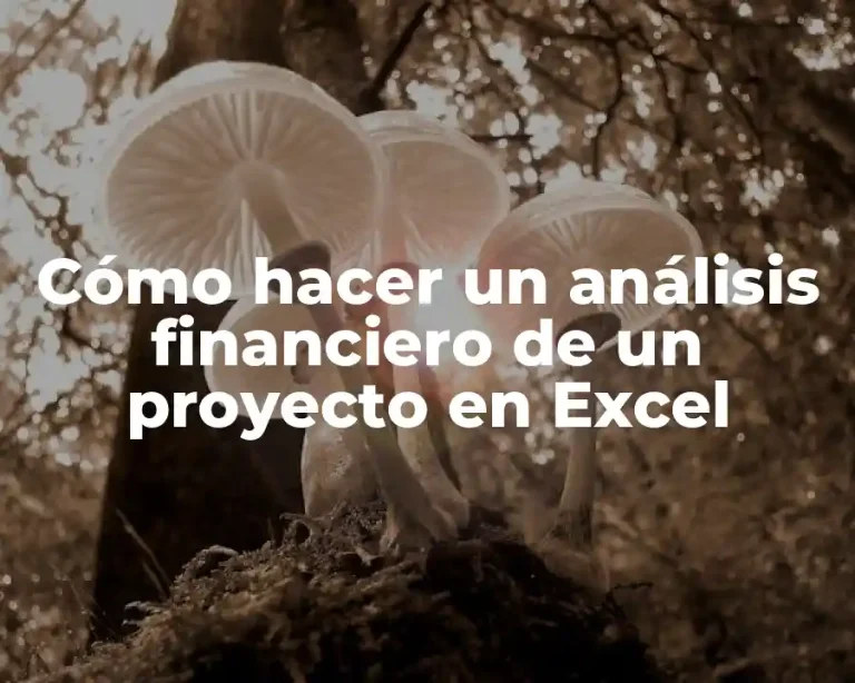 Cómo hacer un análisis financiero de un proyecto en Excel