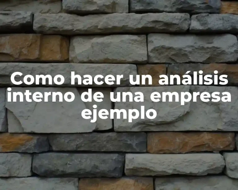 Como hacer un análisis interno de una empresa ejemplo