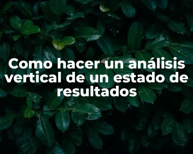 Como hacer un análisis vertical de un estado de resultados
