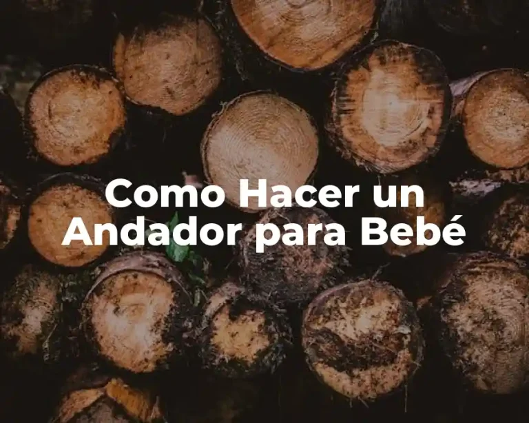 Como Hacer un Andador para Bebé