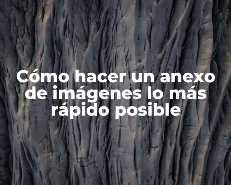 Cómo hacer un anexo de imágenes lo más rápido posible
