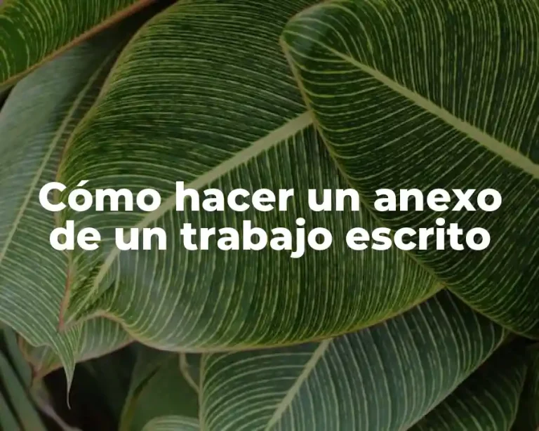 Cómo hacer un anexo de un trabajo escrito