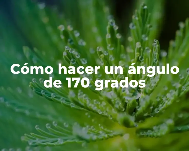 Cómo hacer un ángulo de 170 grados