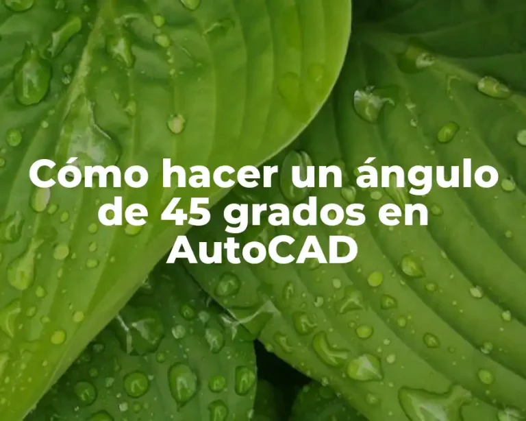 Cómo hacer un ángulo de 45 grados en AutoCAD