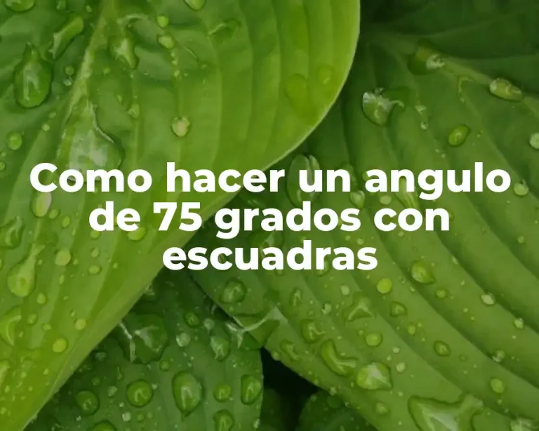 Como hacer un angulo de 75 grados con escuadras