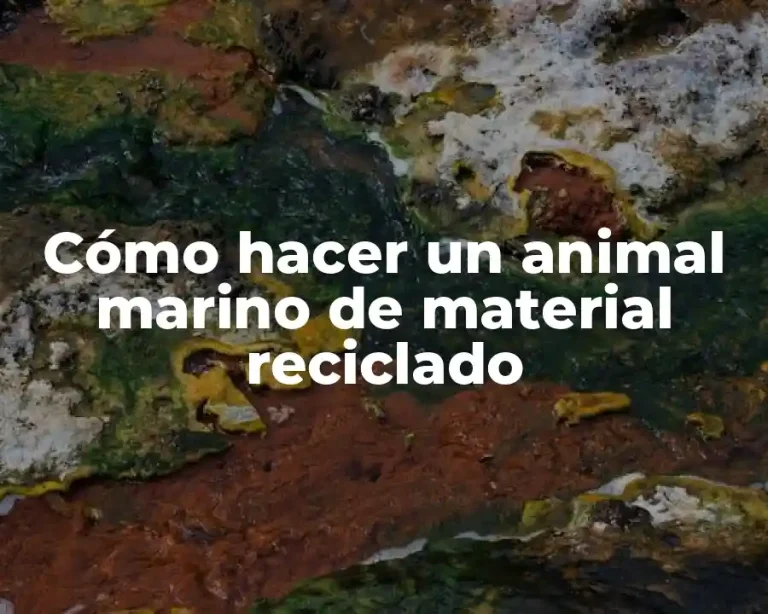 Cómo hacer un animal marino de material reciclado