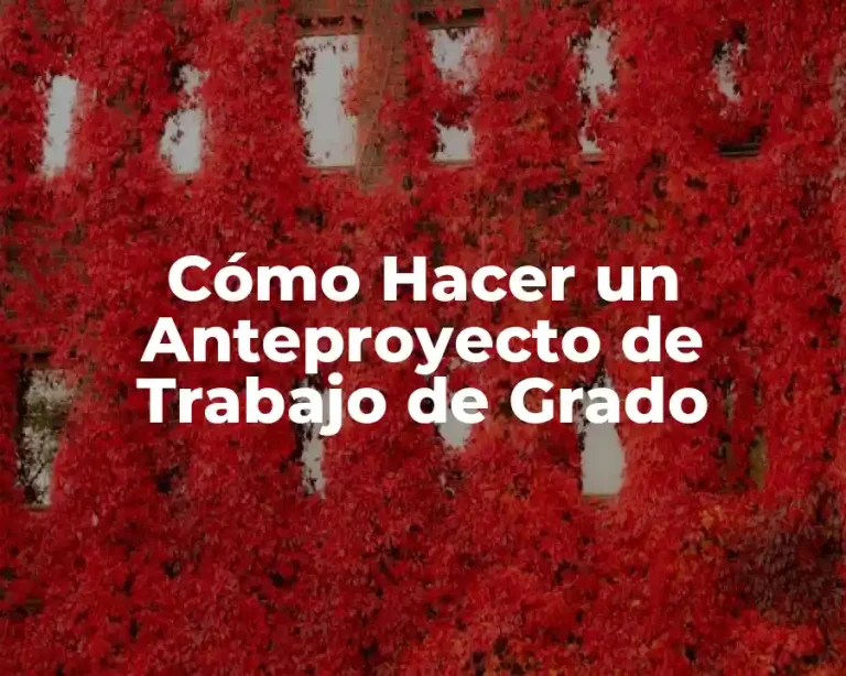 Cómo Hacer un Anteproyecto de Trabajo de Grado
