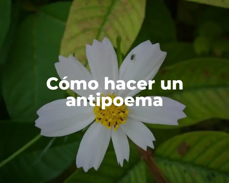 Cómo hacer un antipoema