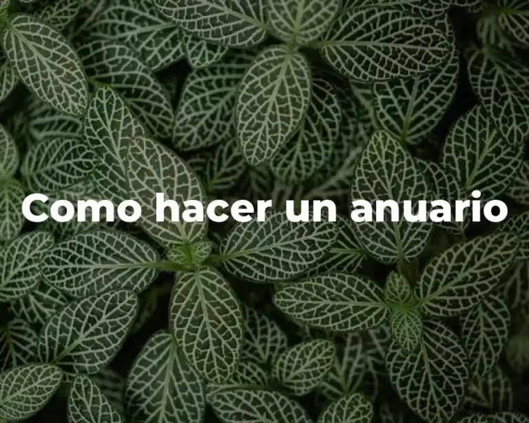 Como hacer un anuario