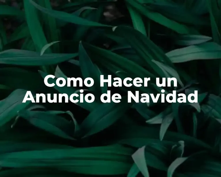 Como Hacer un Anuncio de Navidad