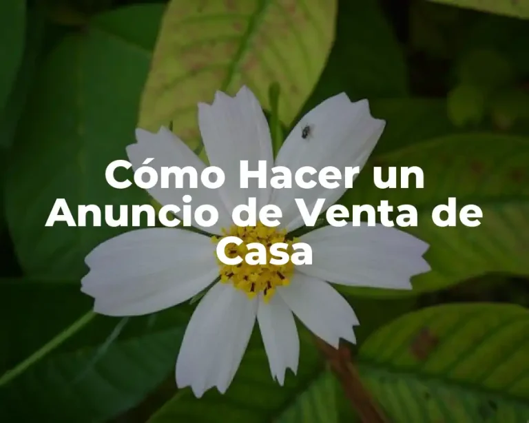 Cómo Hacer un Anuncio de Venta de Casa