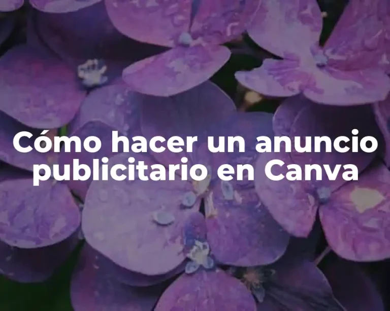 Cómo hacer un anuncio publicitario en Canva