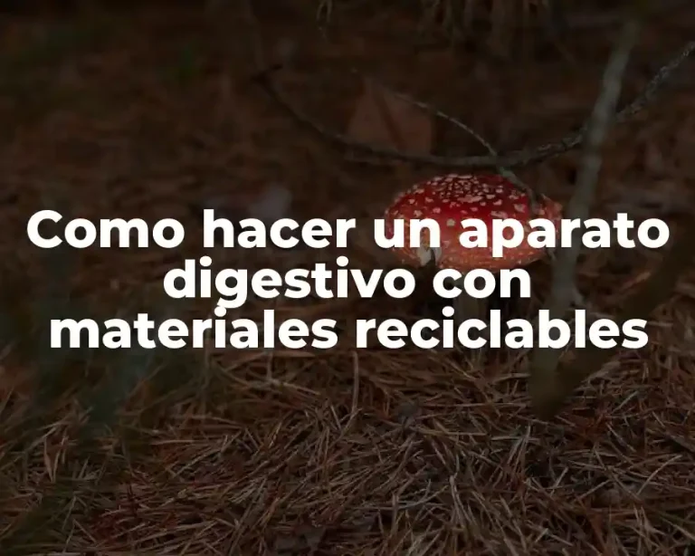 Como hacer un aparato digestivo con materiales reciclables