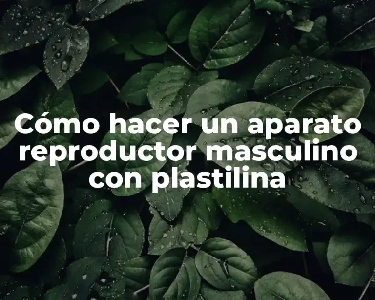 Cómo hacer un aparato reproductor masculino con plastilina