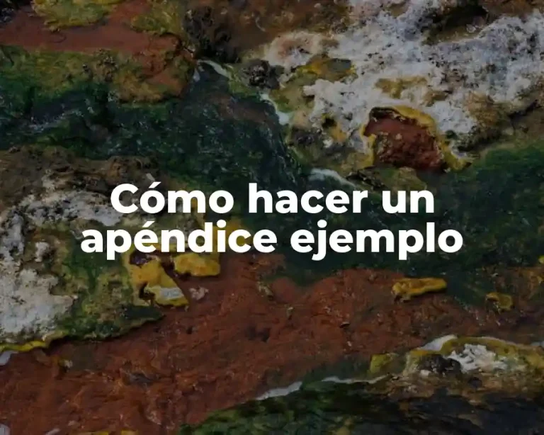 Cómo hacer un apéndice ejemplo