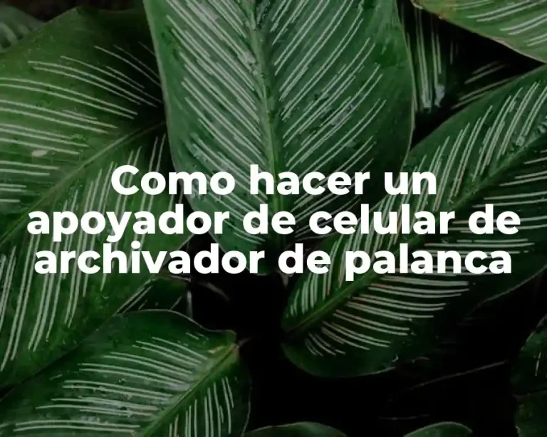 Como hacer un apoyador de celular de archivador de palanca