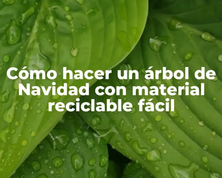 Cómo hacer un árbol de Navidad con material reciclable fácil