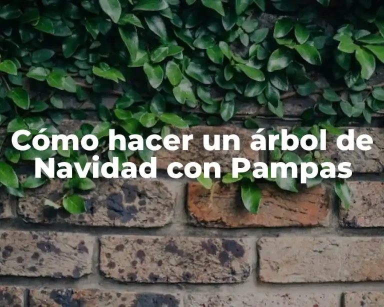 Cómo hacer un árbol de Navidad con Pampas