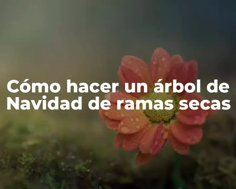 Cómo hacer un árbol de Navidad de ramas secas