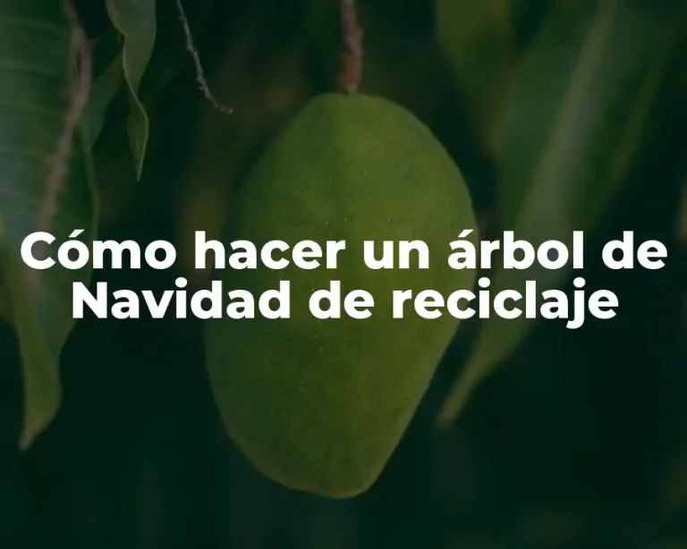 Cómo hacer un árbol de Navidad de reciclaje