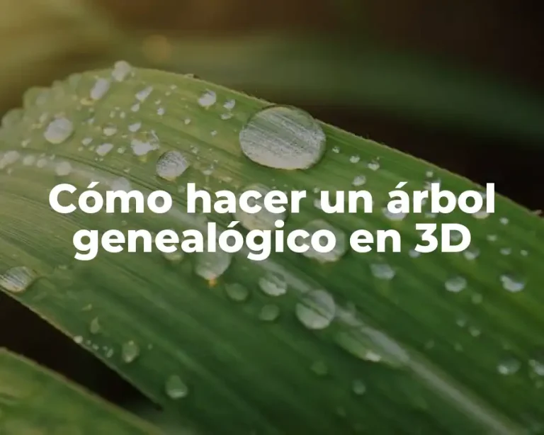 Cómo hacer un árbol genealógico en 3D