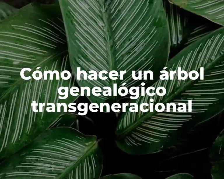 Cómo hacer un árbol genealógico transgeneracional