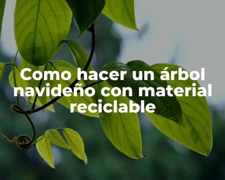Como hacer un árbol navideño con material reciclable