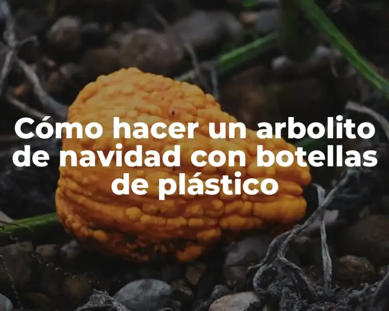 Cómo hacer un arbolito de navidad con botellas de plástico