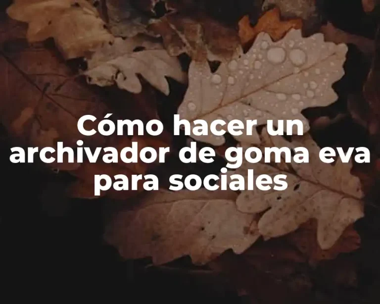 Cómo hacer un archivador de goma eva para sociales