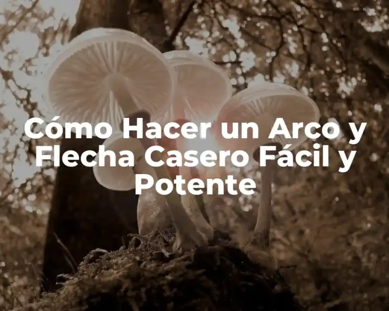 Cómo Hacer un Arco y Flecha Casero Fácil y Potente