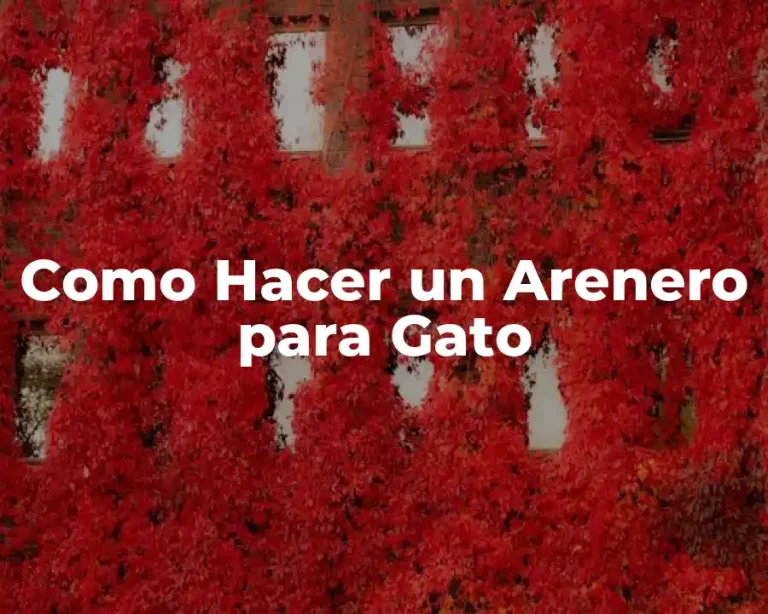 Como Hacer un Arenero para Gato